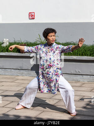 Wenzhou, Zhejiang, Chine. Démonstration de Tai Chi au Musée des Arts Martiaux. Banque D'Images