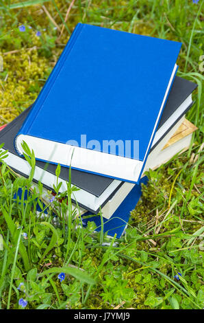 Pile de livres divers dans l'herbe verte fraîche. Banque D'Images