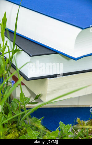 Pile de livres divers dans l'herbe verte fraîche. Banque D'Images