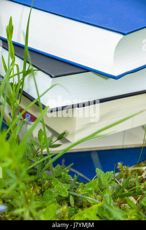 Pile de livres divers dans l'herbe verte fraîche. Banque D'Images