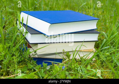 Pile de livres divers dans l'herbe verte fraîche. Banque D'Images