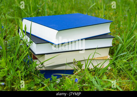 Pile de livres divers dans l'herbe verte fraîche. Banque D'Images