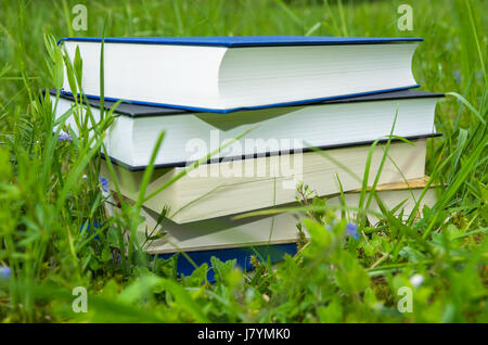 Pile de livres divers dans l'herbe verte fraîche. Banque D'Images