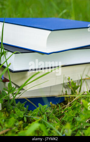 Pile de livres divers dans l'herbe verte fraîche. Banque D'Images