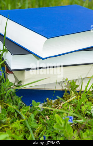 Pile de livres divers dans l'herbe verte fraîche. Banque D'Images