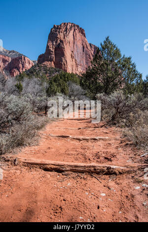 Middle Fork de Taylor Creek Canyon Kolob dans la région de Zion National Park Banque D'Images