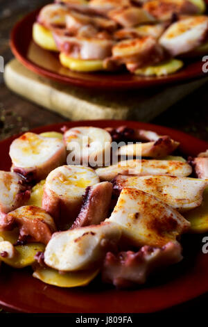 Libre d'une plaque en terre cuite avec Pulpo a la gallega, une recette de poulpe en Espagne typique servi sur les pommes de terre et assaisonnée de paprika Banque D'Images