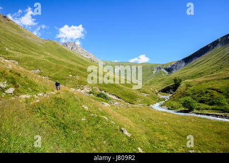 Les randonneurs à côté de la rivière dans la vallée Ferrand Ferrand en été, Alpes, Isère, Oisans, France, Europe Banque D'Images