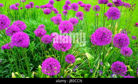 Baddesley Clinton House and Gardens, Warwickshire, Angleterre Banque D'Images