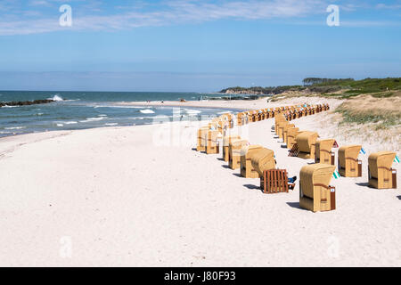 Plage avec chaises de plage de Wustrow, Mecklenburg-Vorpommern, Allemagne Banque D'Images