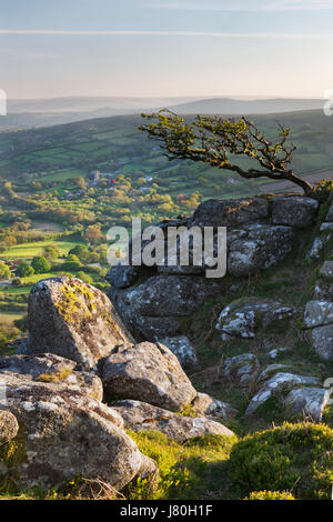 Vue de Widecombe-dans-le-Moor de Chinkwell Tor à Dartmoor Banque D'Images