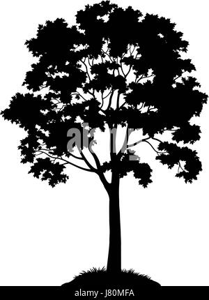 La silhouette des arbres d'érable Illustration de Vecteur