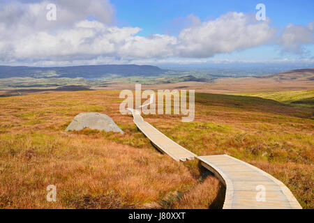 L'Irlande, le comté de Fermanagh, Cuilcagh Mountain Park, Legnabrocky Trail. Banque D'Images