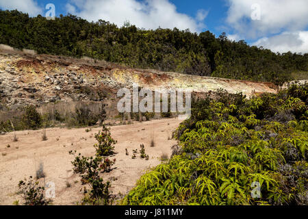 Paysage dans les banques de soufre Volcanoes National Park. Banque D'Images