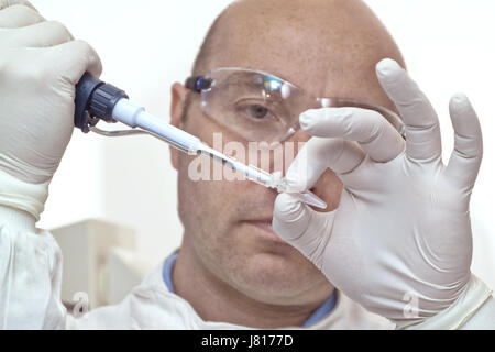 Laboratoire scientifique à l'aide d'un micro-pipette pour transférer correctement mesurées quantité de liquide à un tube à essai. Banque D'Images