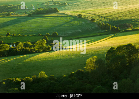 Après-midi de printemps dans le parc national des South Downs, East Sussex, Angleterre. Banque D'Images