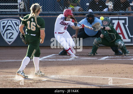 Tucson, Arizona, USA. 26 mai, 2017. Arizona's MANDIE PEREZ (55) frappe la balle contre Baylor au cours de la NCAA Women's College World Series Super Tournoi Régional le Vendredi, Mai 26, 2017, Rita Hillenbrand Memorial Stadium à Tucson, Arizona. Arizona a gagné un match d'une série de jeux le meilleur des 3 3-2 contre du Baylor Diffusez dans la Super Women's College World Series. Crédit : Jeff Brown/ZUMA/Alamy Fil Live News Banque D'Images