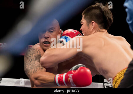 Chicago, USA. 26 mai, 2017. Qu Peng (R) de la concurrence de la Chine contre Robbie Mendez de l'United States duirng leur Top Rank Boxing combat cruiserweight à Chicago, aux États-Unis, le 26 mai 2017. Credit : Ting Shen/Xinhua/Alamy Live News Banque D'Images