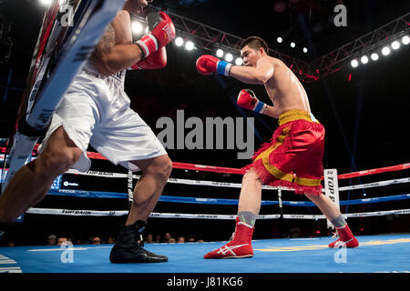 Chicago, USA. 26 mai, 2017. Qu Peng (R) de la concurrence de la Chine contre Robbie Mendez de l'United States duirng leur Top Rank Boxing combat cruiserweight à Chicago, aux États-Unis, le 26 mai 2017. Credit : Ting Shen/Xinhua/Alamy Live News Banque D'Images