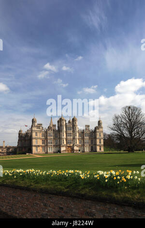 Printemps jonquilles, Burghley House stately home, Cambridgeshire, Angleterre, RU Banque D'Images