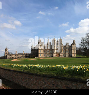 Printemps jonquilles, Burghley House stately home, Cambridgeshire, Angleterre, RU Banque D'Images