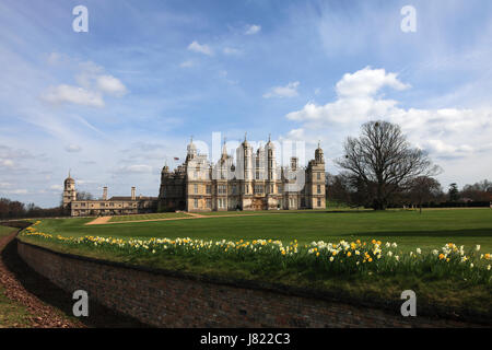 Printemps jonquilles, Burghley House stately home, Cambridgeshire, Angleterre, RU Banque D'Images