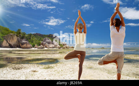 Couple doing yoga posture de l'arbre à l'extérieur Banque D'Images