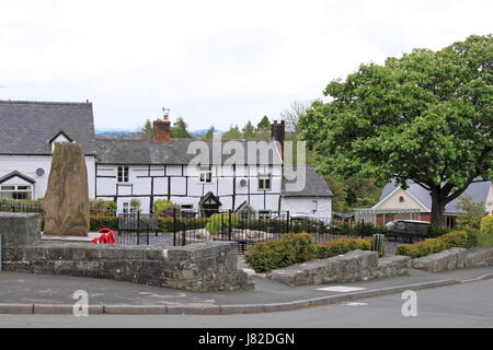 Maisons à colombages, Chirbury Road, Montgomery, Montgomeryshire, Powys, Pays de Galles, Grande-Bretagne, Royaume-Uni, UK, Europe Banque D'Images