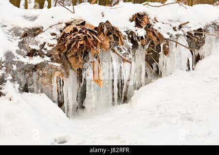 Un ruisseau gelé. Arrière-plan de saison d'hiver dans la nature. Banque D'Images