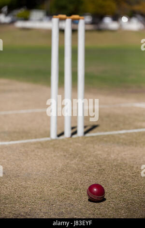 Portrait de balle par les souches sur le terrain de cricket au cours de journée ensoleillée