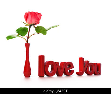 Fleur rose plante texte de message que vous aimez dans l'amour est tombé en amour je présente rose Banque D'Images