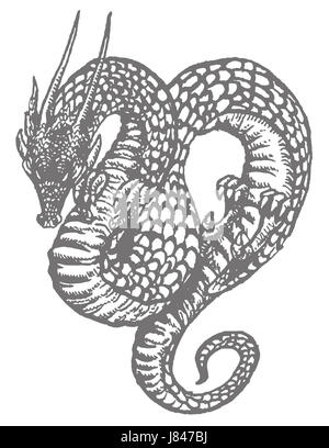 Dragon serpent vintage photo dessin photo image copy asiatique chinois déduction Banque D'Images