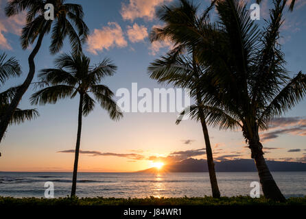 Napili Bay, coucher de soleil, Maui Ouest, Hawaï, États-Unis Banque D'Images
