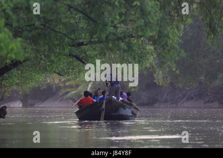 Visite touristique la plus grande forêt de mangroves des Sundarbans et site du patrimoine mondial de l'UNESCO au Bangladesh. Banque D'Images