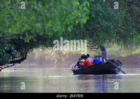 Visite touristique la plus grande forêt de mangroves des Sundarbans et site du patrimoine mondial de l'UNESCO au Bangladesh. Banque D'Images