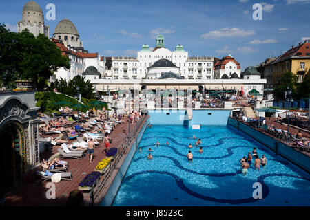 La Hongrie, Budapest. Les bains Gellért . Banque D'Images