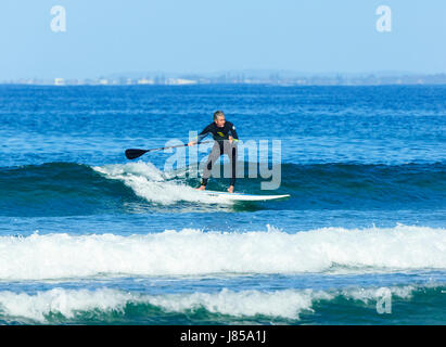 Homme 50-60 surfant sur un stand up paddleboard et porter une combinaison isothermique, 7 Mile Beach, Gerroa, New South Wales, NSW, Australie Banque D'Images