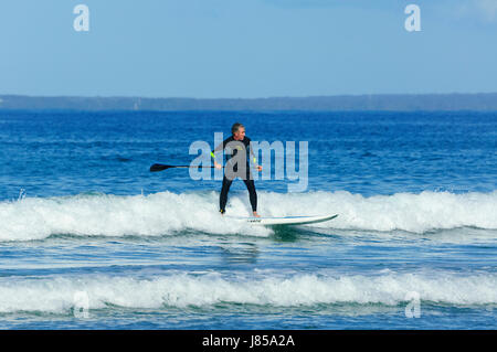 Homme 50-60 surfant sur un stand up paddleboard et porter une combinaison isothermique, 7 Mile Beach, Gerroa, New South Wales, NSW, Australie Banque D'Images