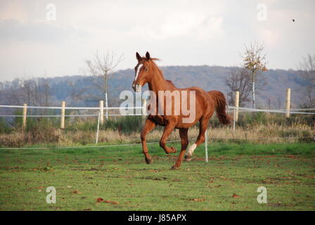 lundi matin Banque D'Images