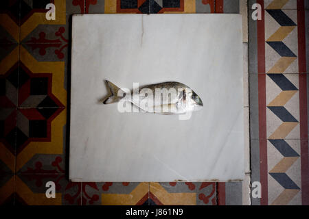 La dorade fraîche Banque D'Images
