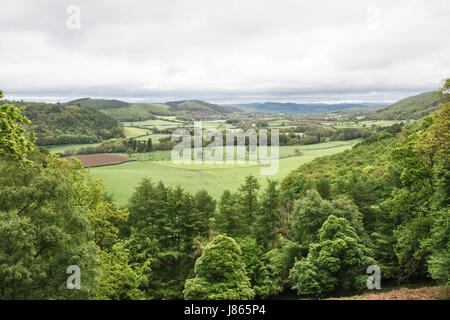 Le long de l'Offa's Dyke Path. Une vue sur la vallée de Knill et Hindwell Herrock de Hill, près de Kington, Herefordshire, Angleterre. Un ciel couvert jour de mai. Banque D'Images