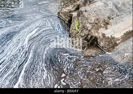 La pollution dans la rivière Teifi, Pays de Galles, Royaume-Uni Banque D'Images