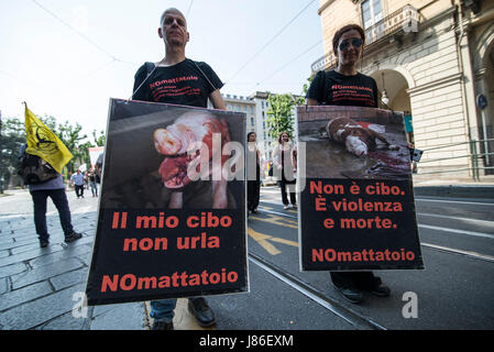 27 mai 2017 - Turin, Piémont, Italie - Turin Italy-May,27, 2017 : National animalier Zoo aucune exposition à Turin, Italie (crédit Image : © Stefano Guidi via Zuma sur le fil) Banque D'Images