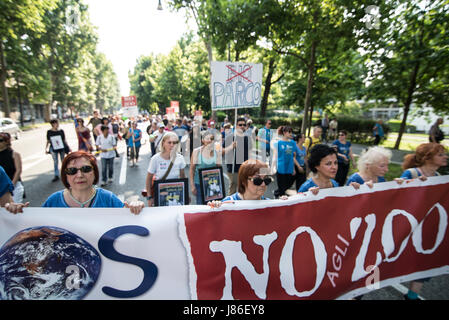 27 mai 2017 - Turin, Piémont, Italie - Turin Italy-May,27, 2017 : National animalier Zoo aucune exposition à Turin, Italie (crédit Image : © Stefano Guidi via Zuma sur le fil) Banque D'Images