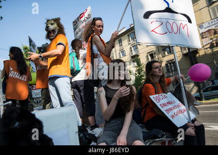 27 mai 2017 - Turin, Piémont, Italie - Turin Italy-May,27, 2017 : National animalier Zoo aucune exposition à Turin, Italie (crédit Image : © Stefano Guidi via Zuma sur le fil) Banque D'Images