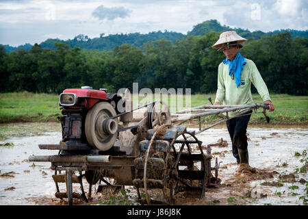 Nakhon Nayok, Thaïlande. 27 mai, 2017. Avec le début de la saison des pluies, les agriculteurs commencent à labourer les rizières dans les régions rurales de la Thaïlande. Un agriculteur laboure les champs avec un tracteur dans la main, la Thaïlande Nakhon Nayok. Credit : Lee Craker/Alamy Live News Banque D'Images