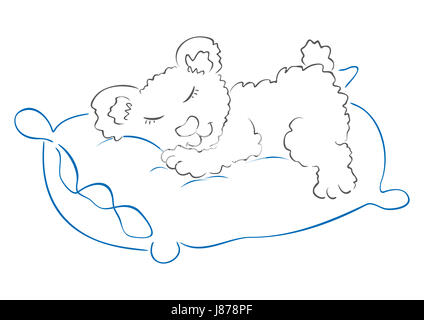 Sommeil dormir ours teddy jolie adorable coussin de relaxation couleur isolé d'art Banque D'Images