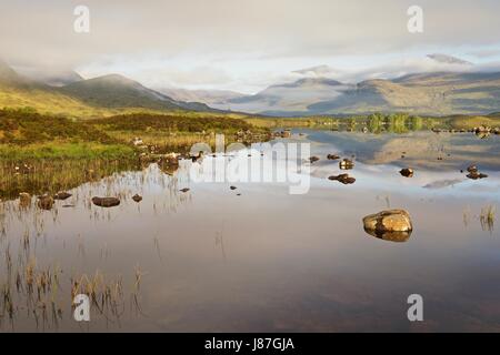 Une belle scène d'misty les rives de Lochan na h-Achlaise sur Rannoch Moor l'Écosse à la recherche pour le Mont Noir. Banque D'Images