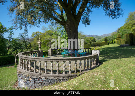 Plas Brondanw jardins près de Garreg, au nord du Pays de Galles. Un magnifique jardin créé par Clough Williams-Ellis. Banque D'Images