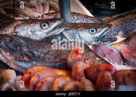 En vente de poissons, marché du dimanche, la Bastille, Paris, France Banque D'Images